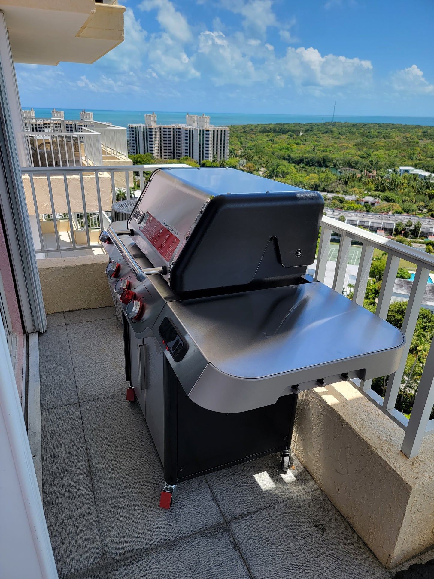 Grill or Barbeque Assembly