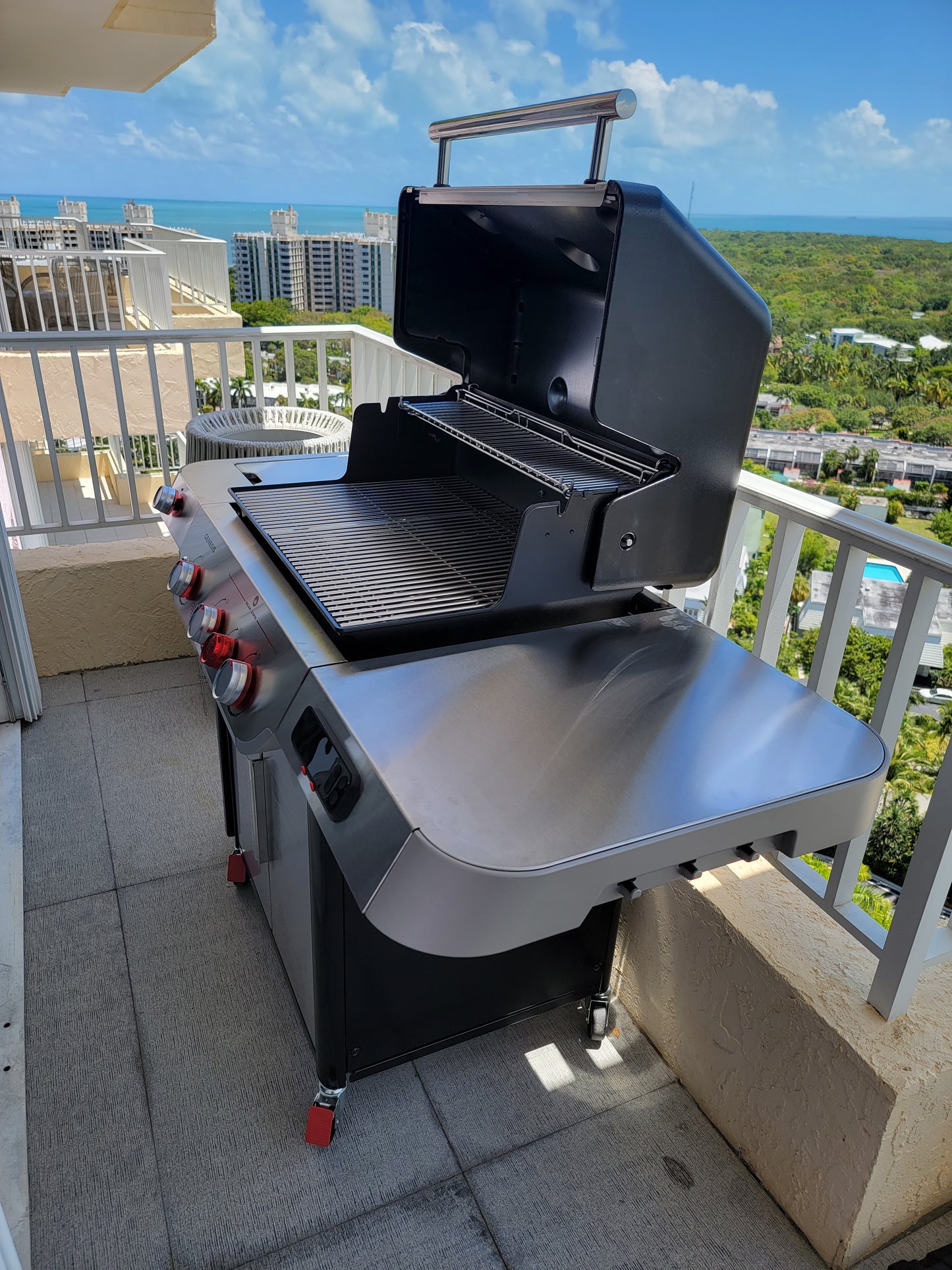 Grill or Barbeque Assembly